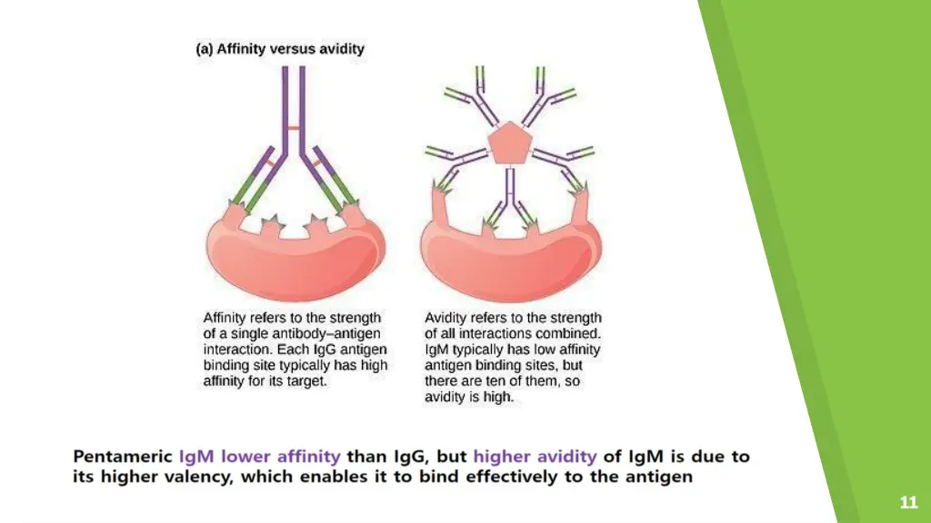 slide11