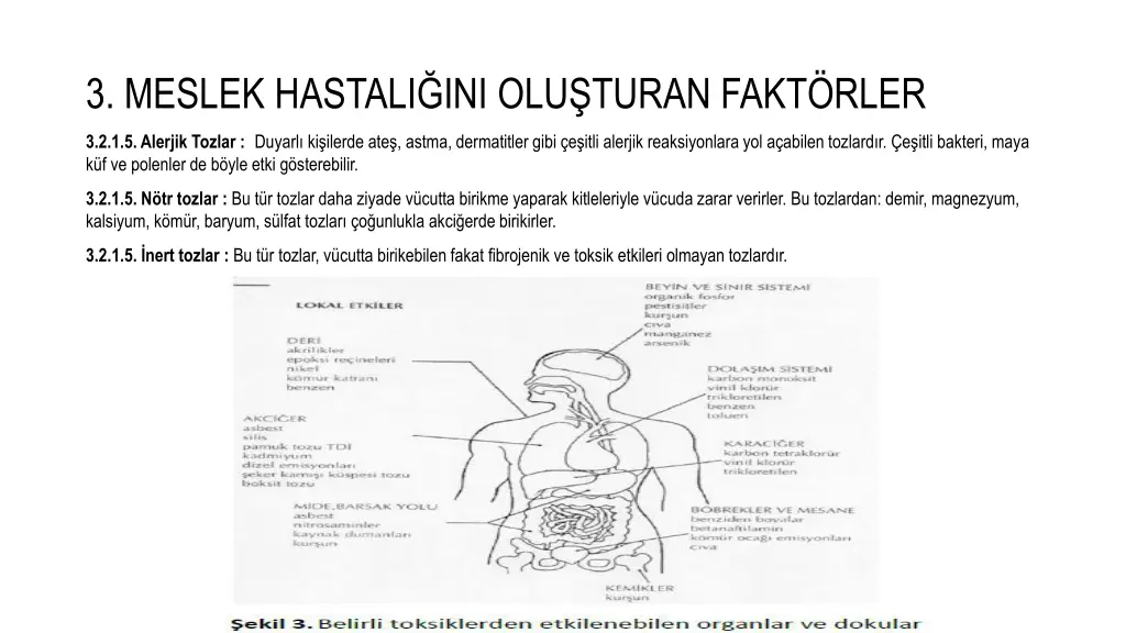 3 meslek hastali ini olu turan fakt rler 8