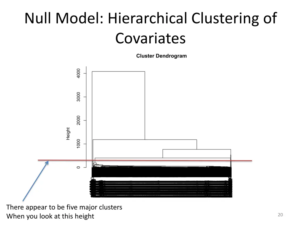 null model hierarchical clustering of covariates