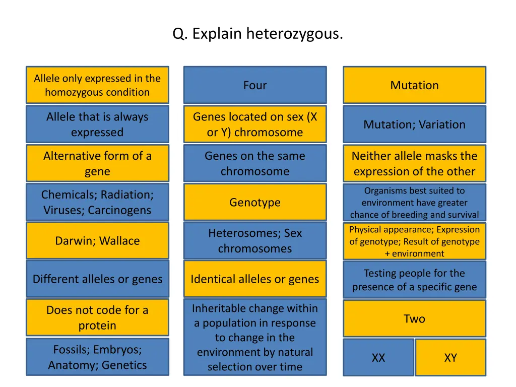 q explain heterozygous