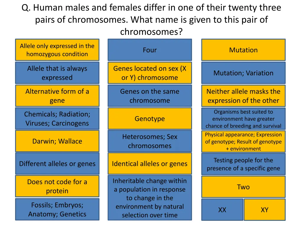 q human males and females differ in one of their