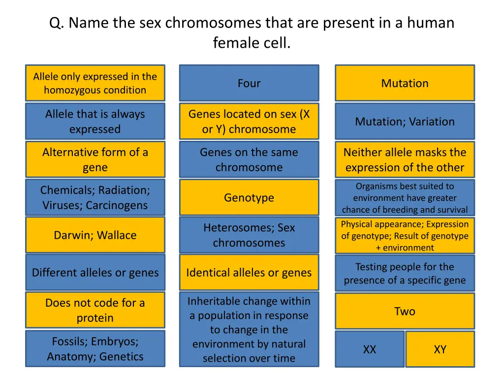q name the sex chromosomes that are present 1