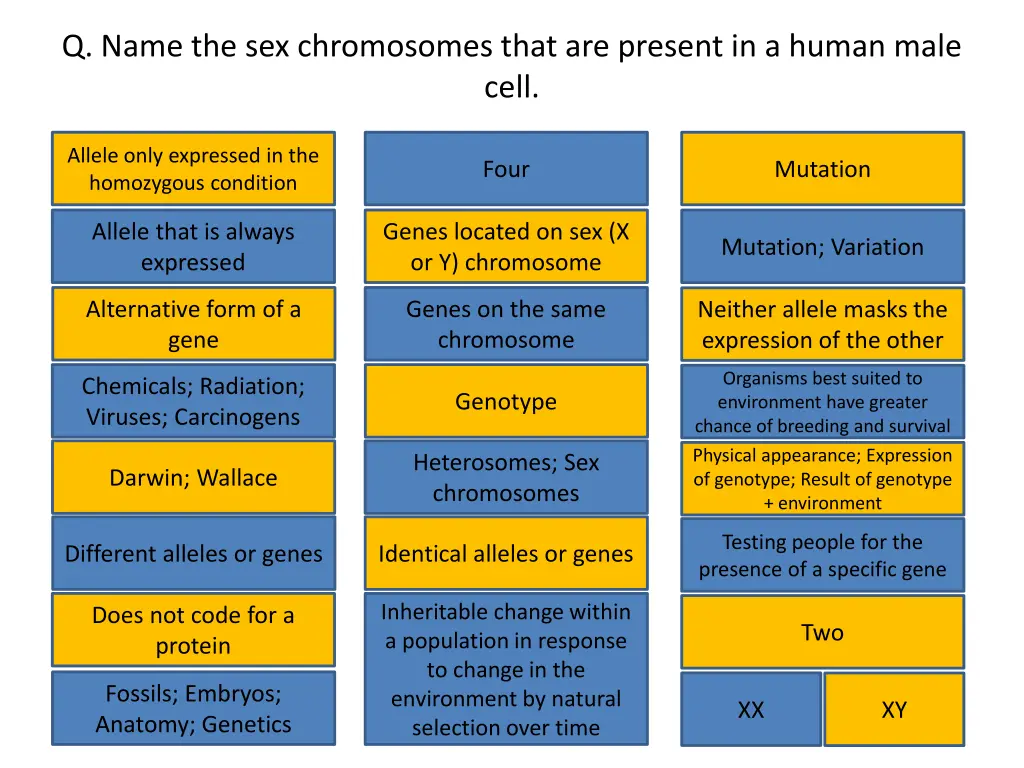 q name the sex chromosomes that are present