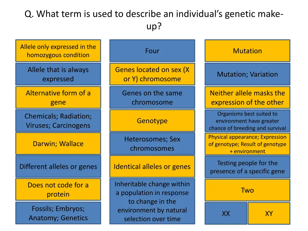 q what term is used to describe an individual
