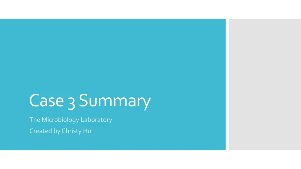 case 3 summary
