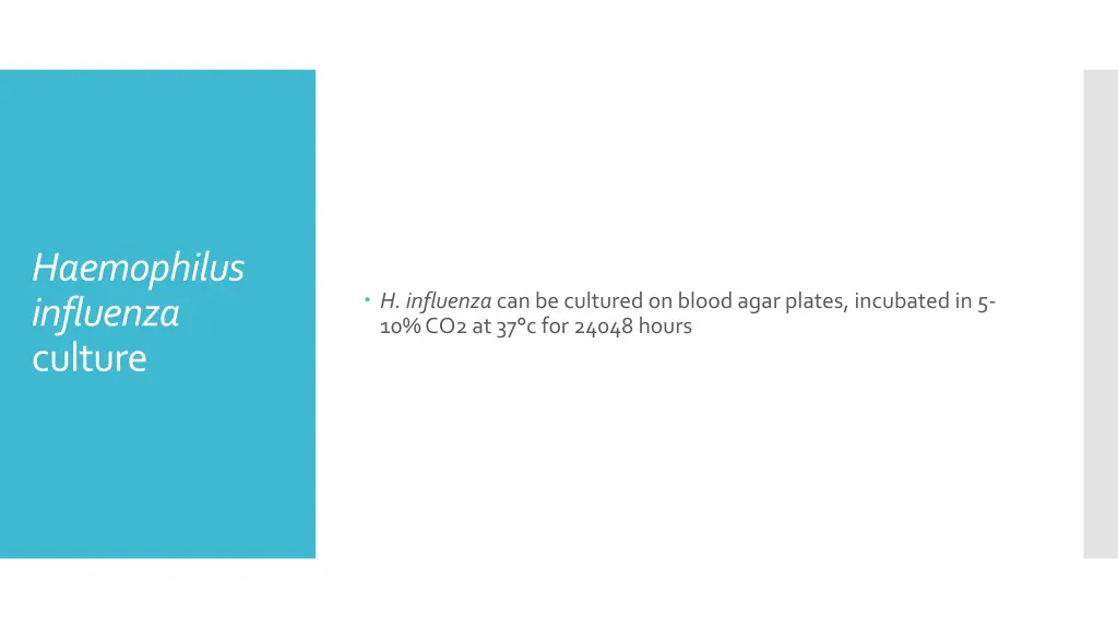 haemophilus influenza culture