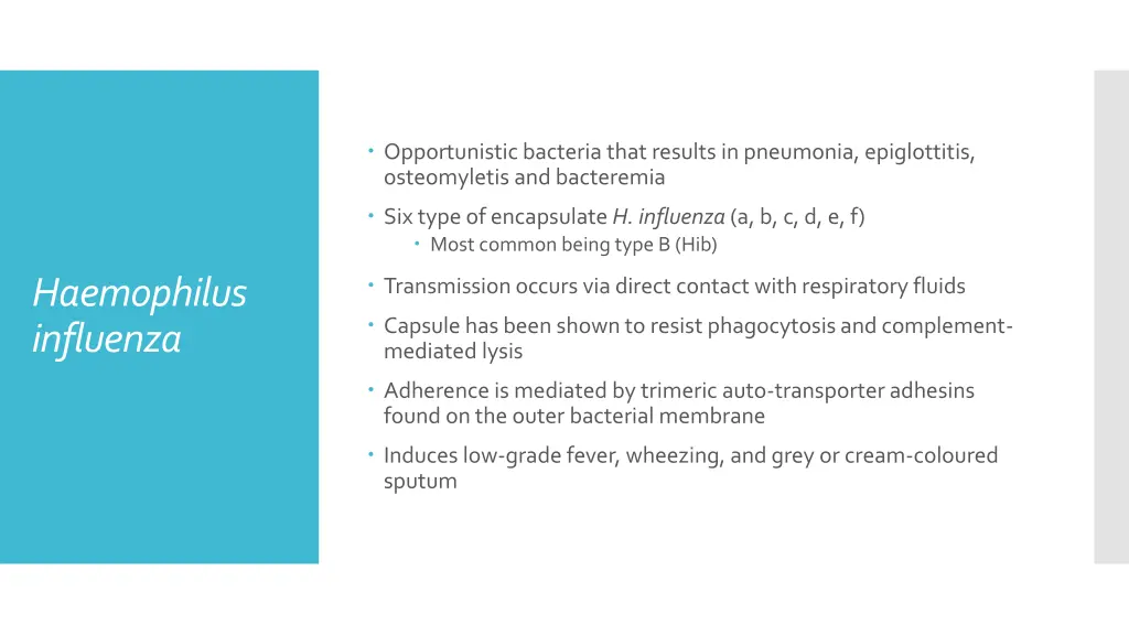 opportunistic bacteria that results in pneumonia