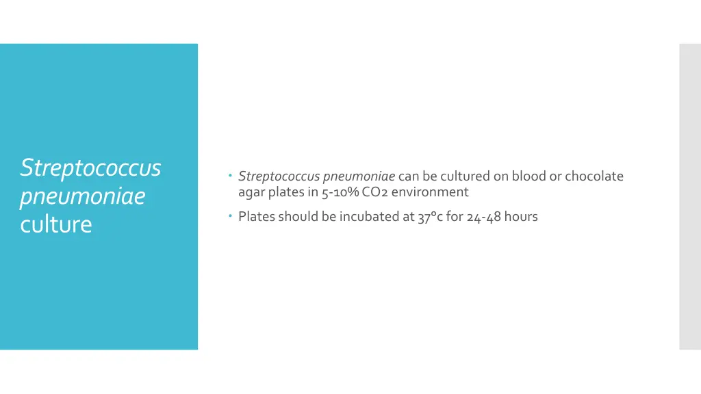 streptococcus pneumoniae culture
