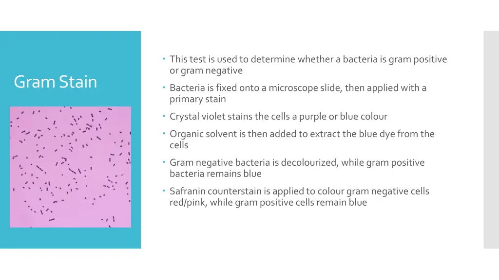 this test is used to determine whether a bacteria
