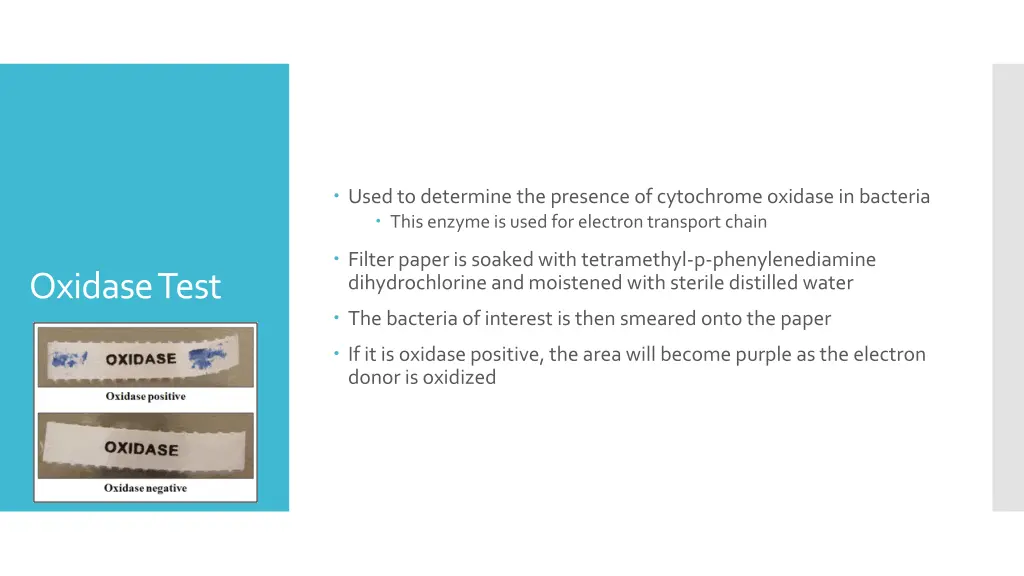 used to determine the presence of cytochrome