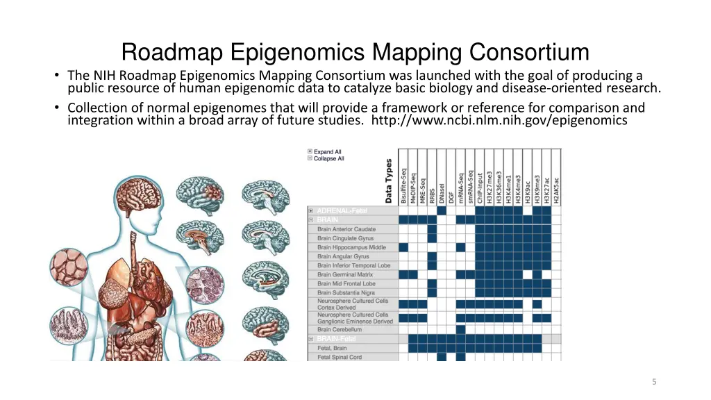 roadmap epigenomics mapping consortium