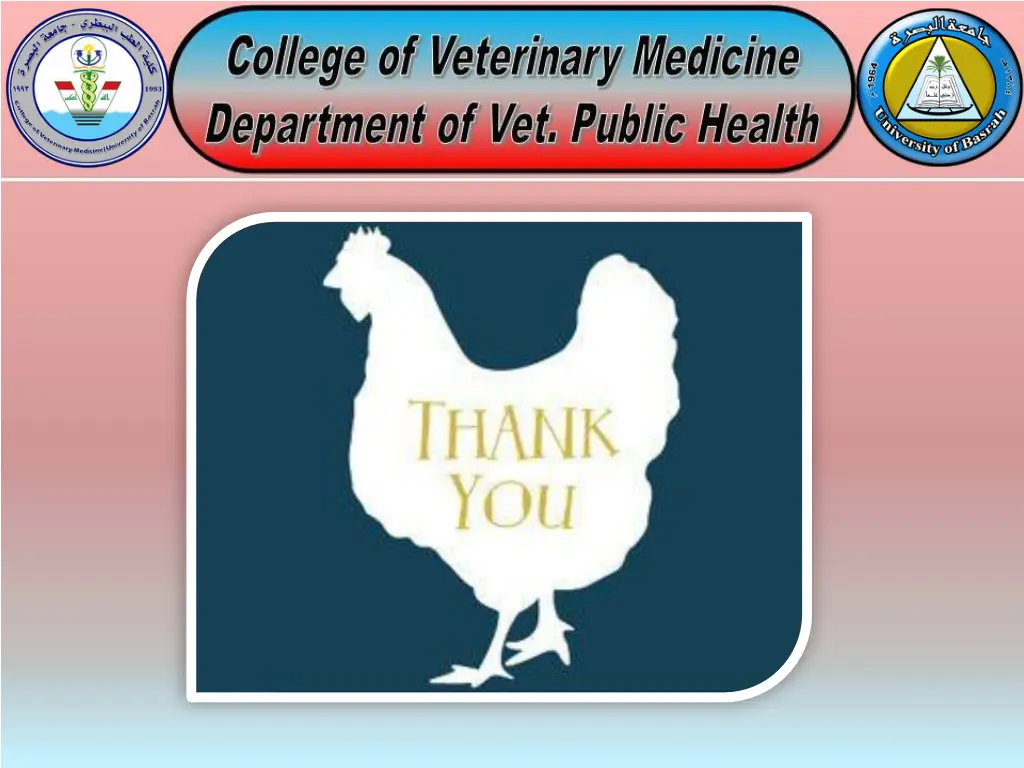 slide7