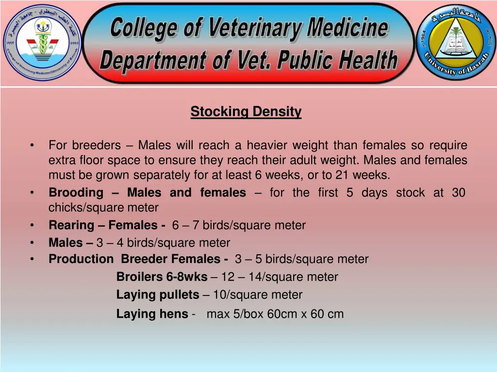 stocking density
