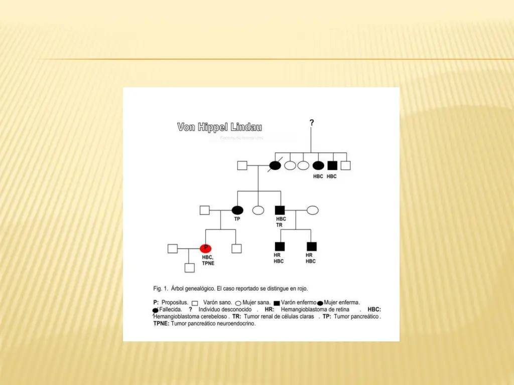 slide13