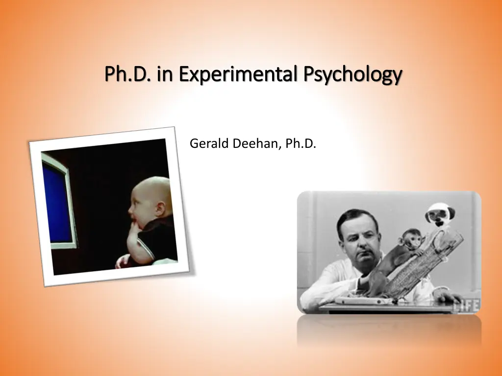 ph d in experimental psychology