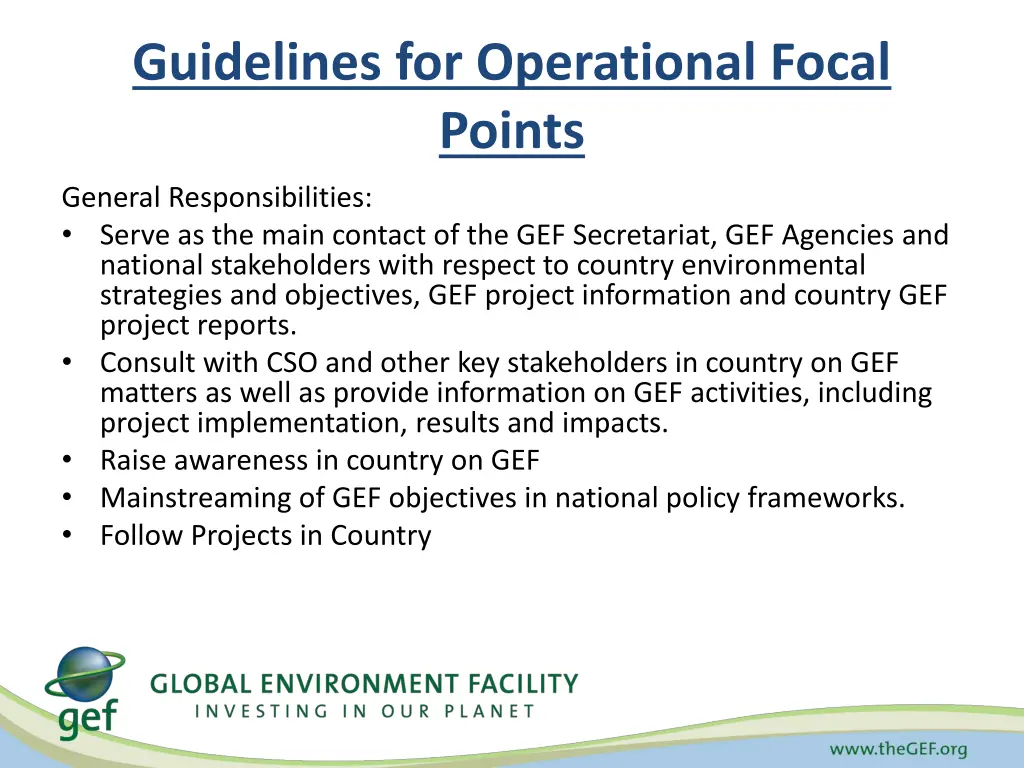 guidelines for operational focal points