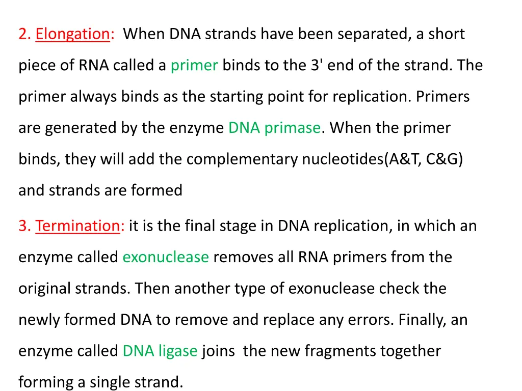 2 elongation when dna strands have been separated
