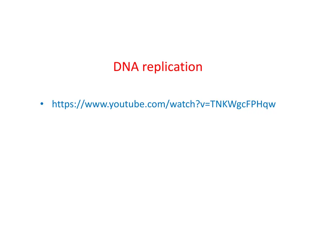 dna replication