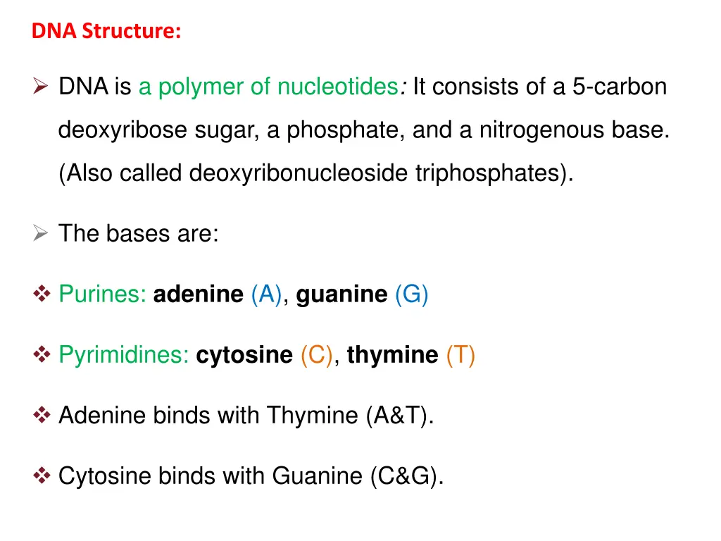 dna structure