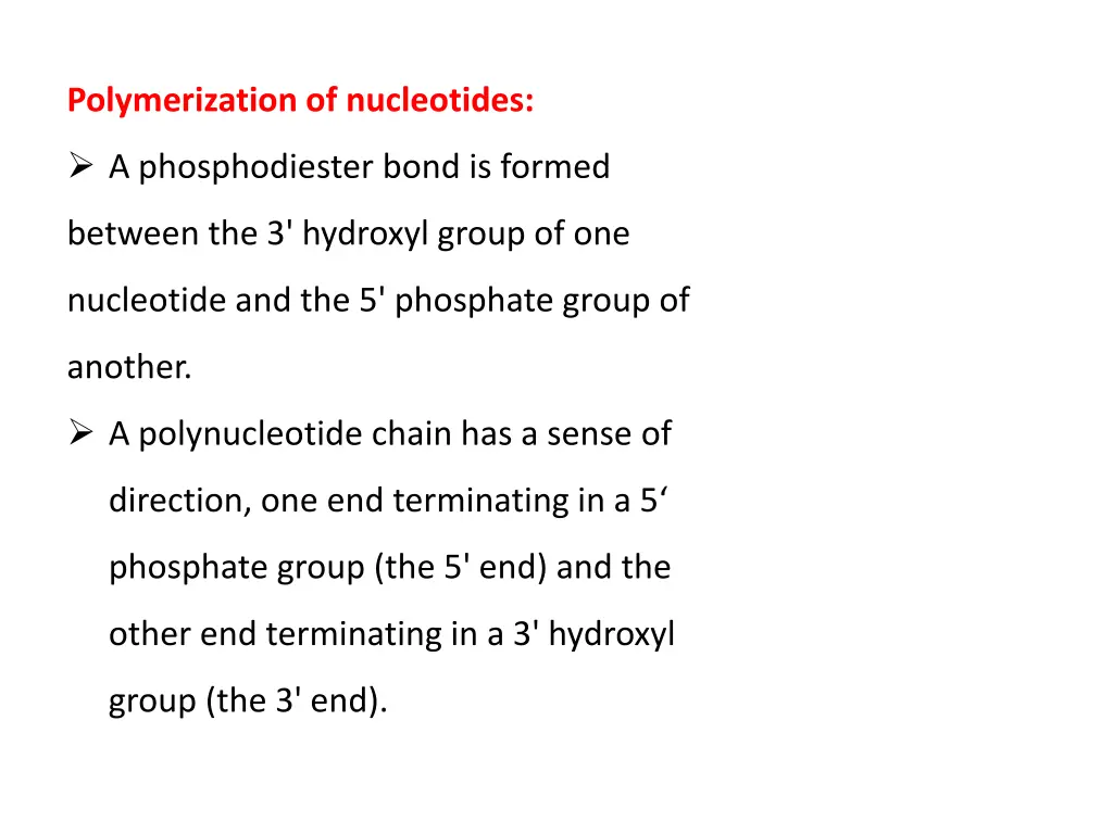 polymerization of nucleotides