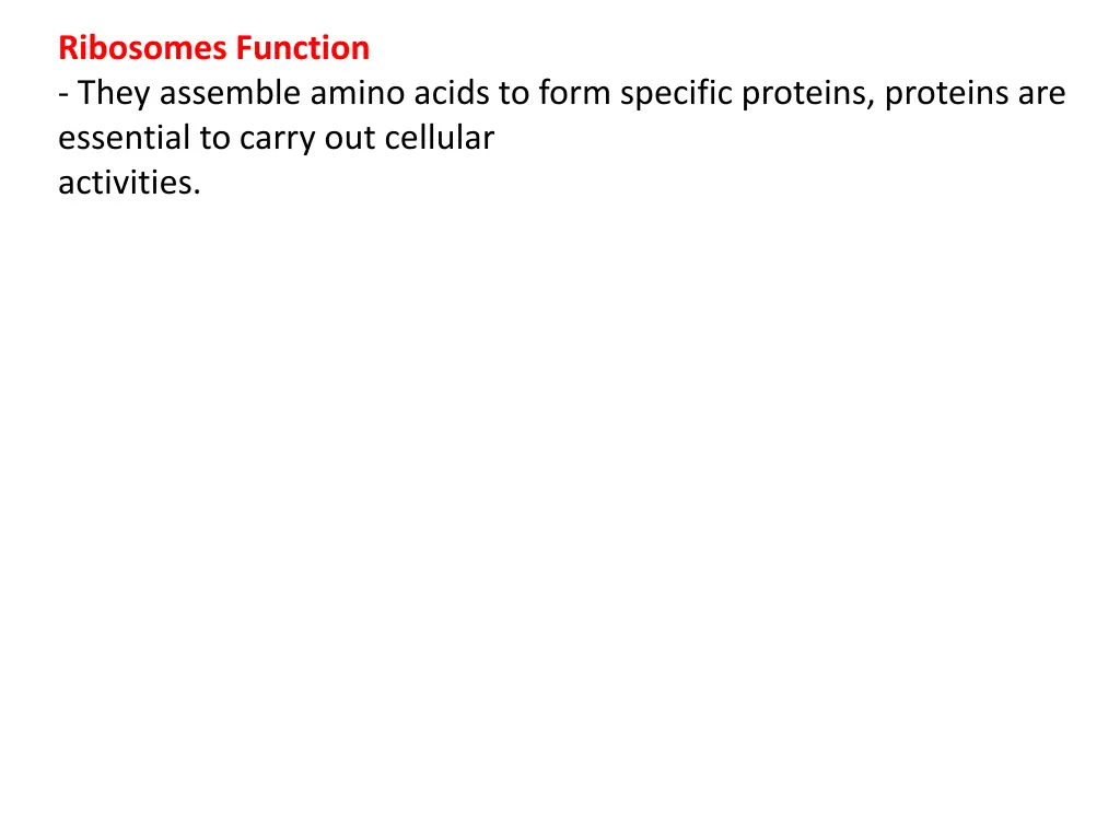ribosomes function they assemble amino acids