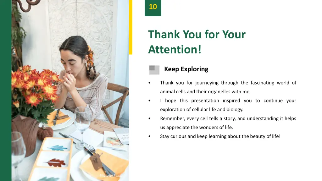 slide12