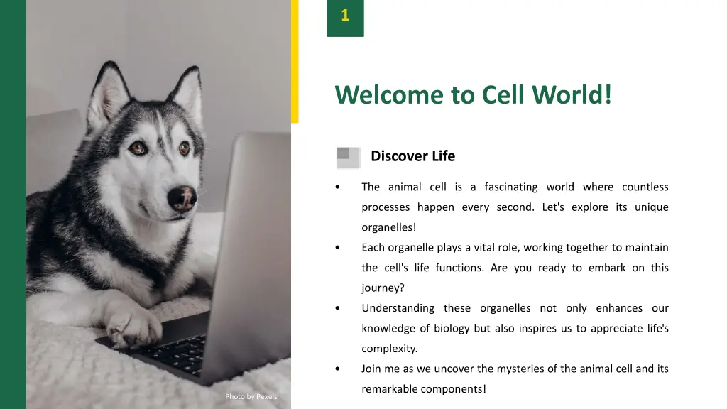 slide3