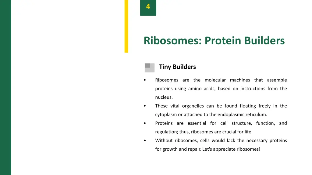 slide6