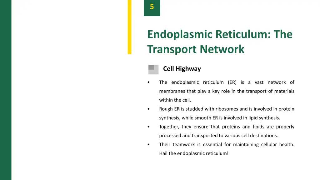 slide7