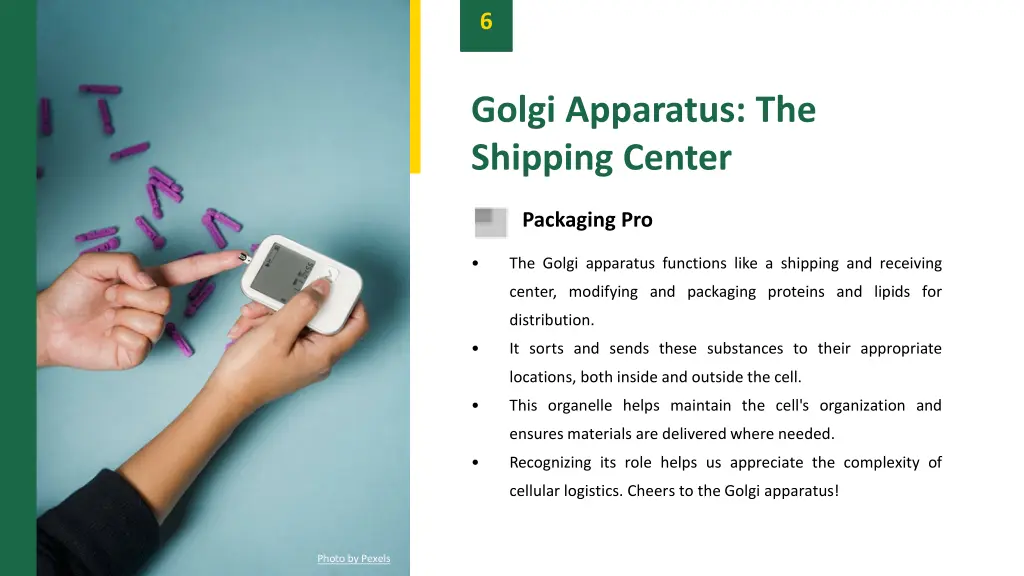 slide8