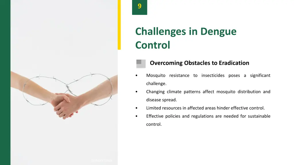slide11