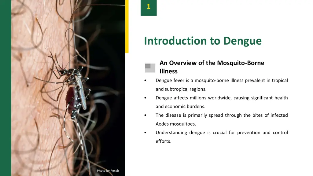 slide3