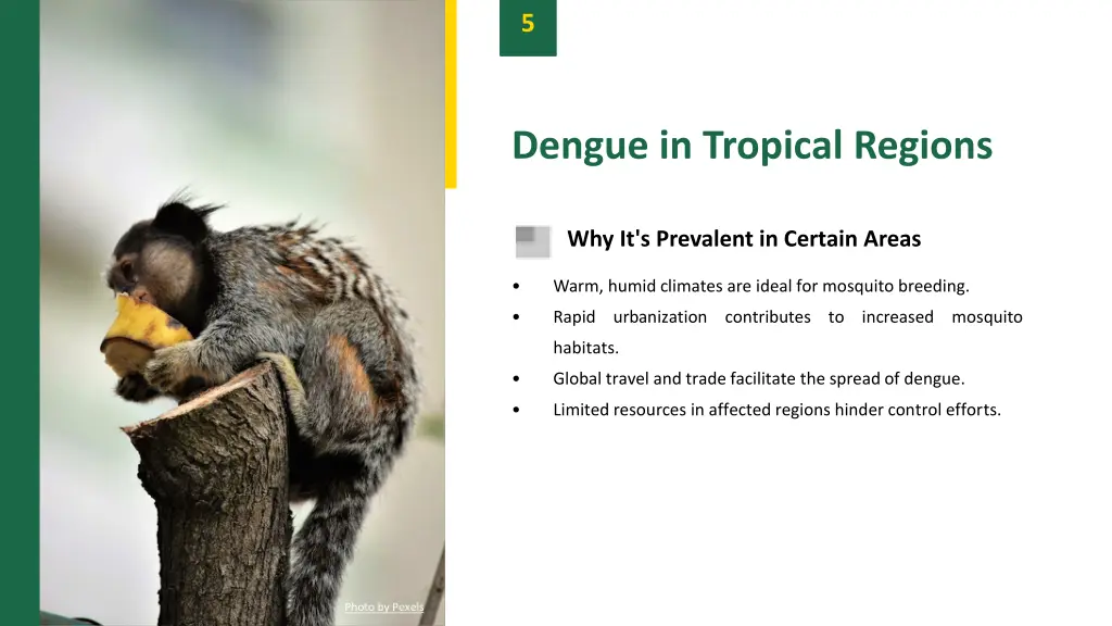 slide7
