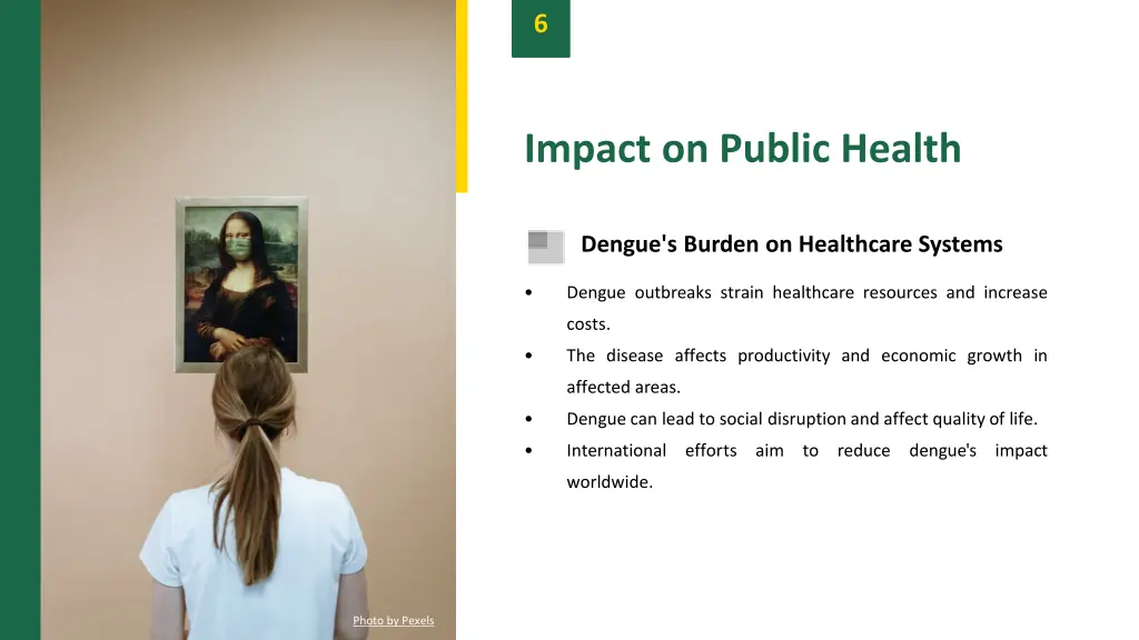 slide8