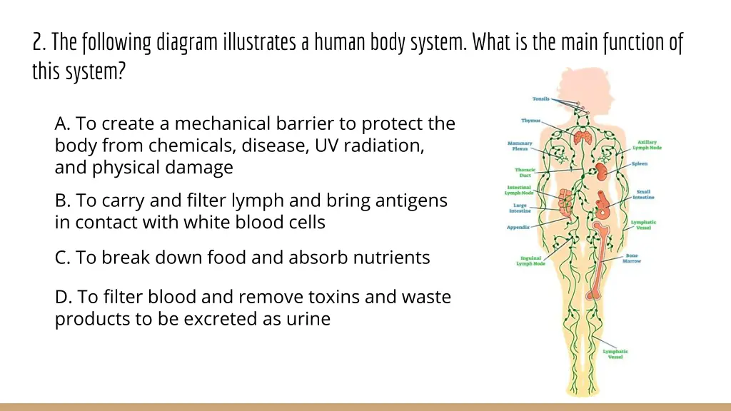 2 the following diagram illustrates a human body