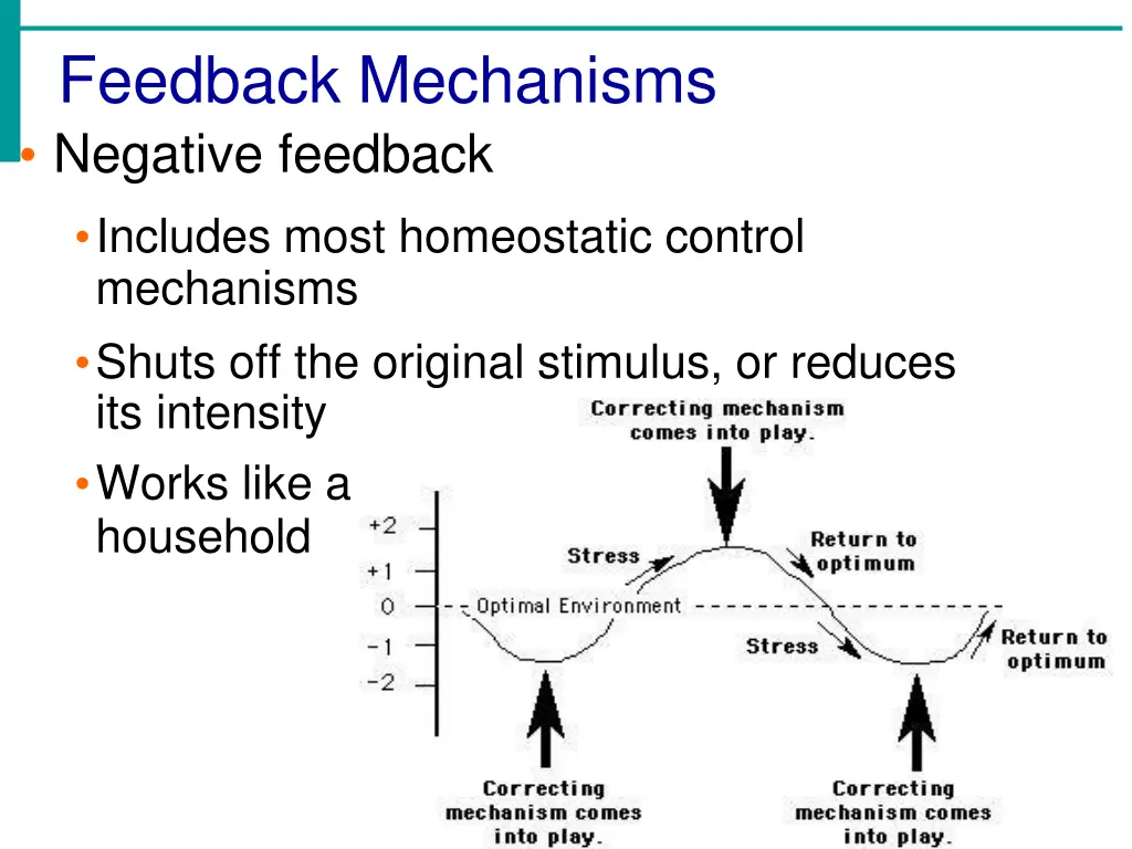 feedback mechanisms negative feedback includes