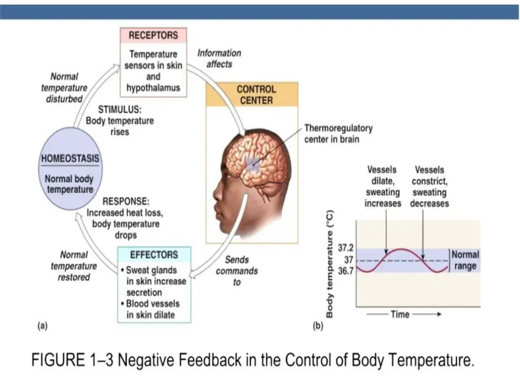 slide28