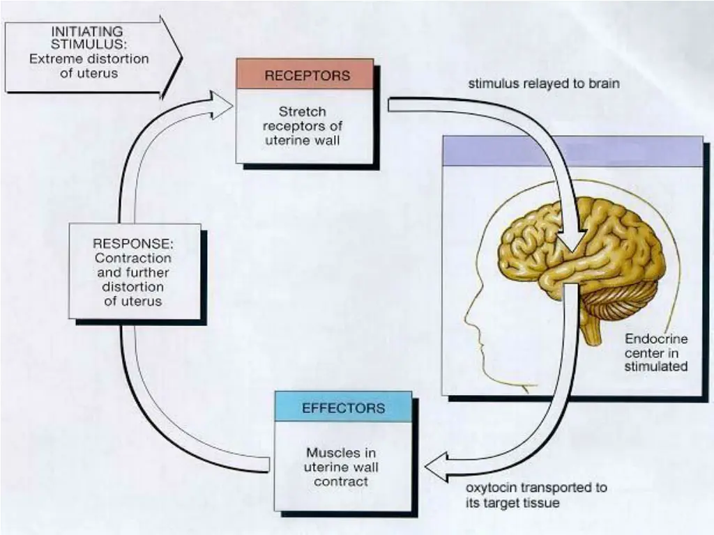 slide30