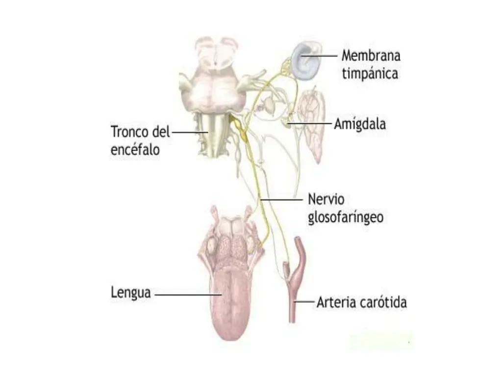 slide16