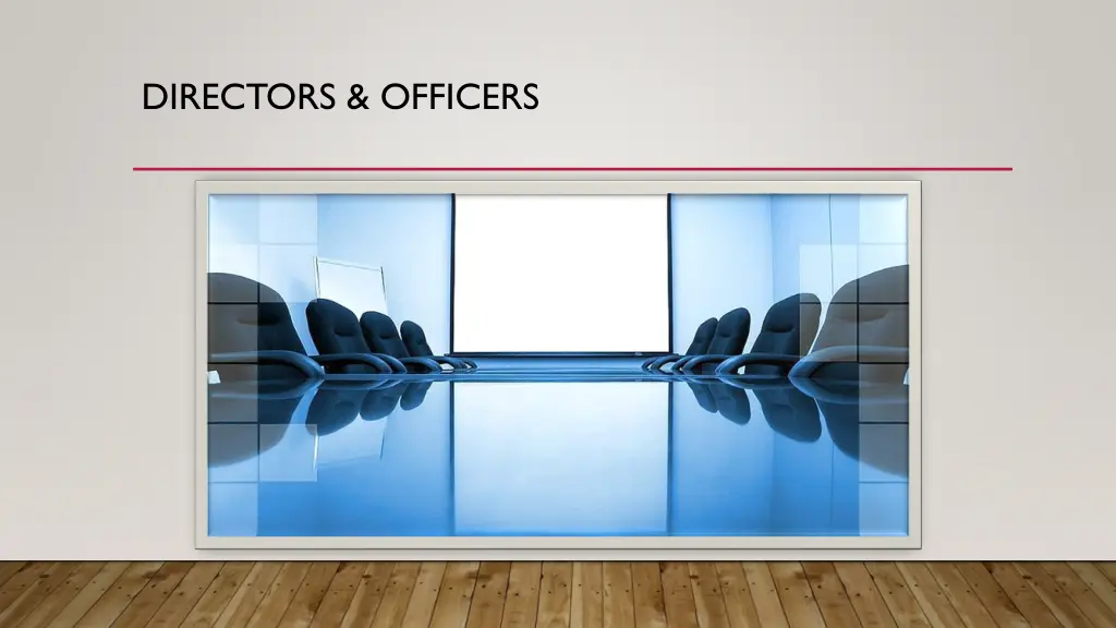 directors officers