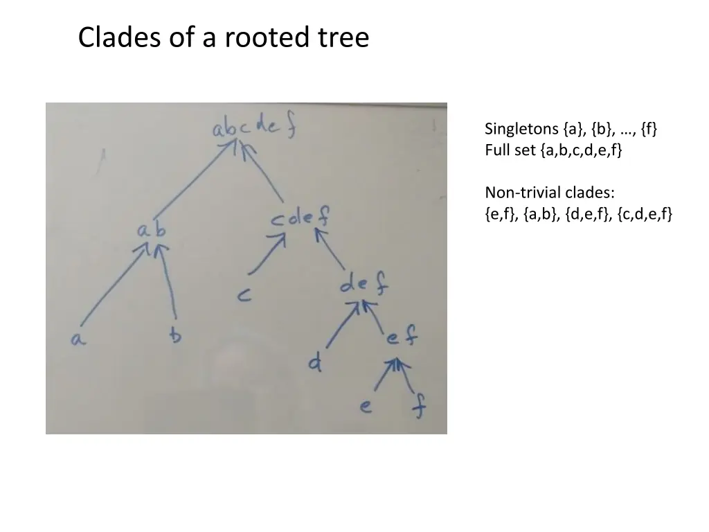 clades of a rooted tree