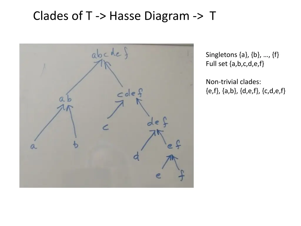 clades of t hasse diagram t