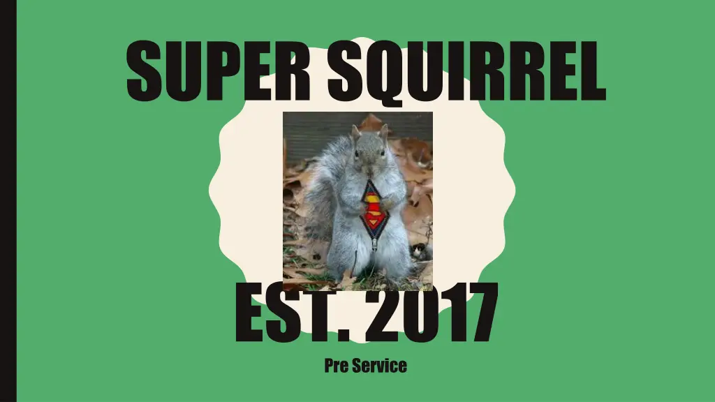 super squirrel