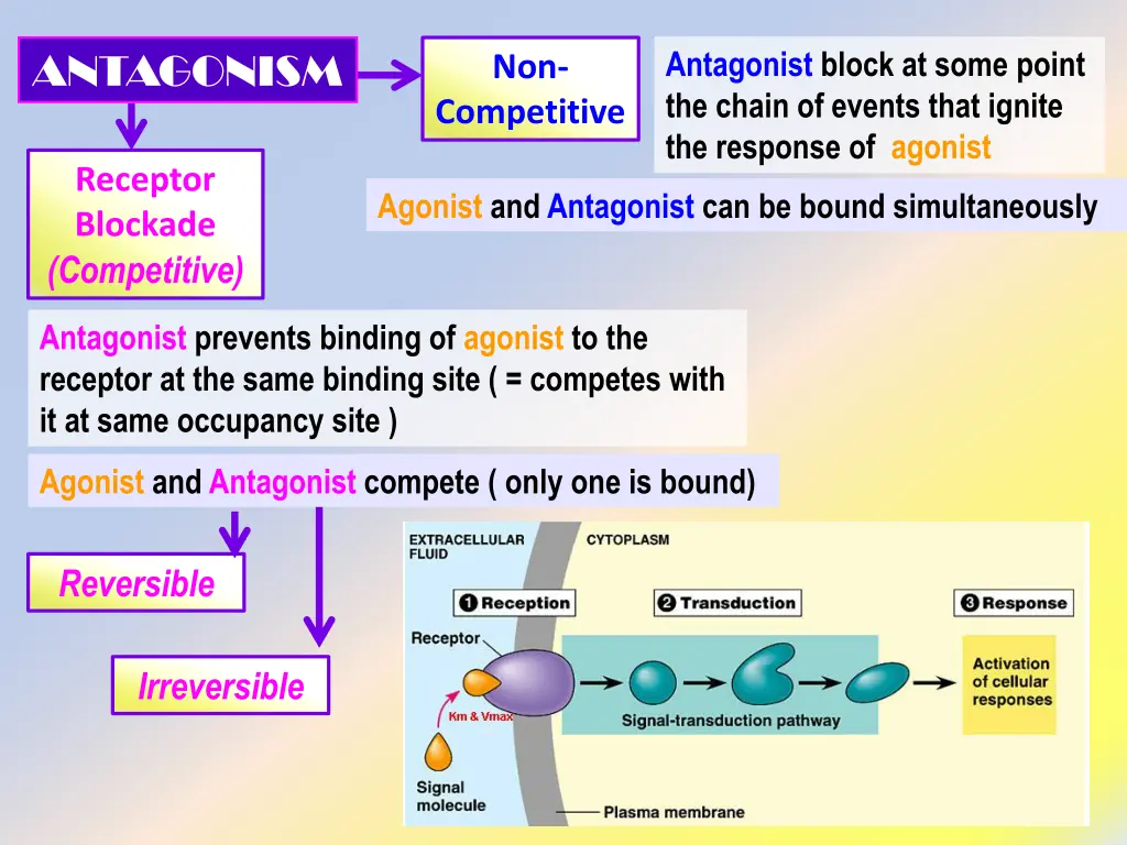 antagonist block at some point the chain