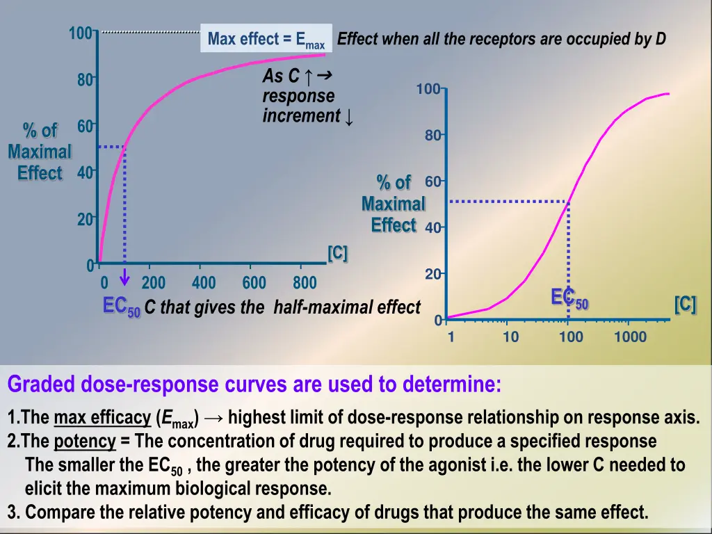 slide4
