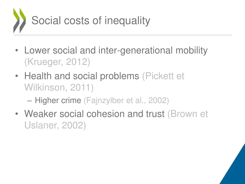 social costs of inequality