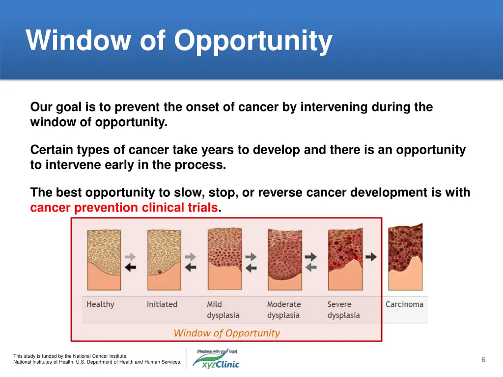 window of opportunity