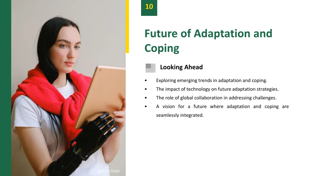 slide12