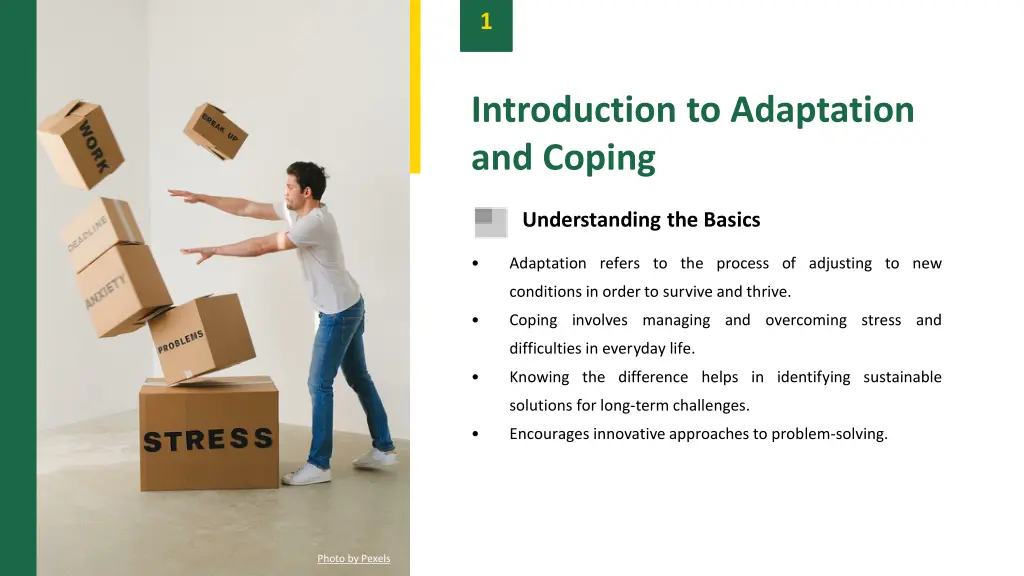 slide3
