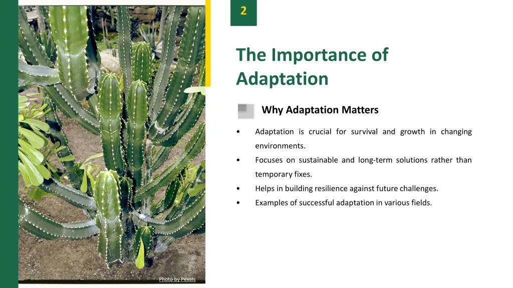 slide4
